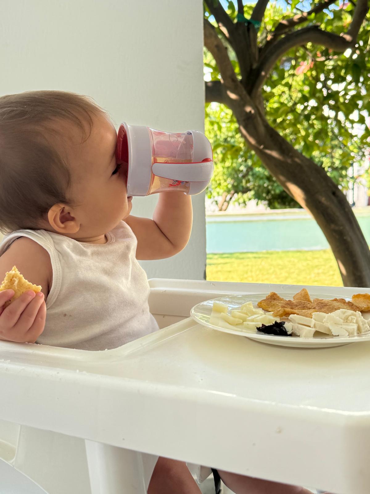 Ek Gıdaya Geçiş ve Bebek Beslenmesi